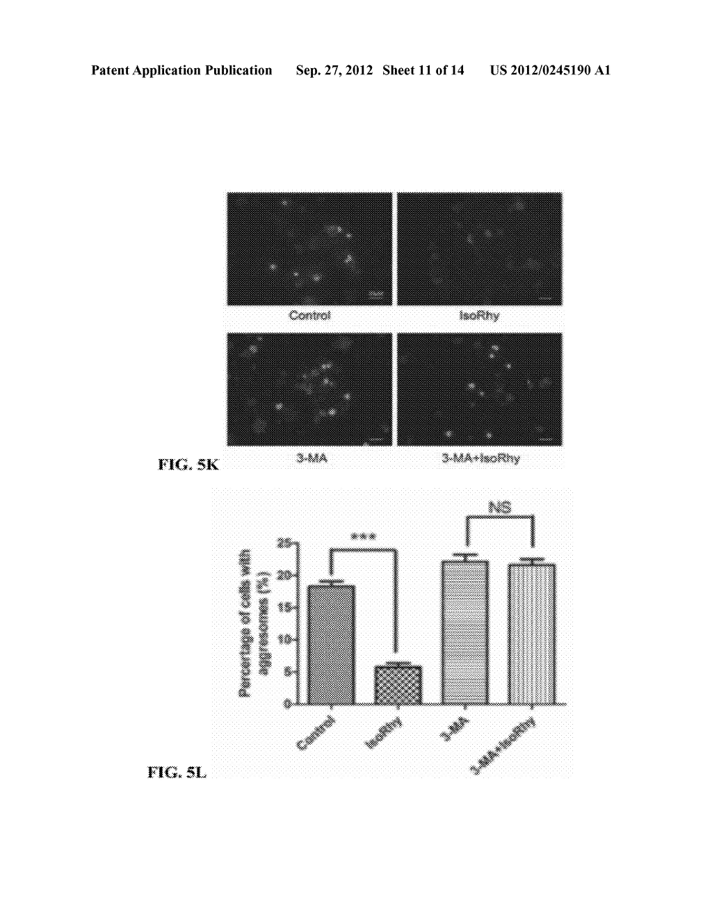 AUTOPHAGY INDUCING COMPOUND AND THE USES THEREOF - diagram, schematic, and image 13