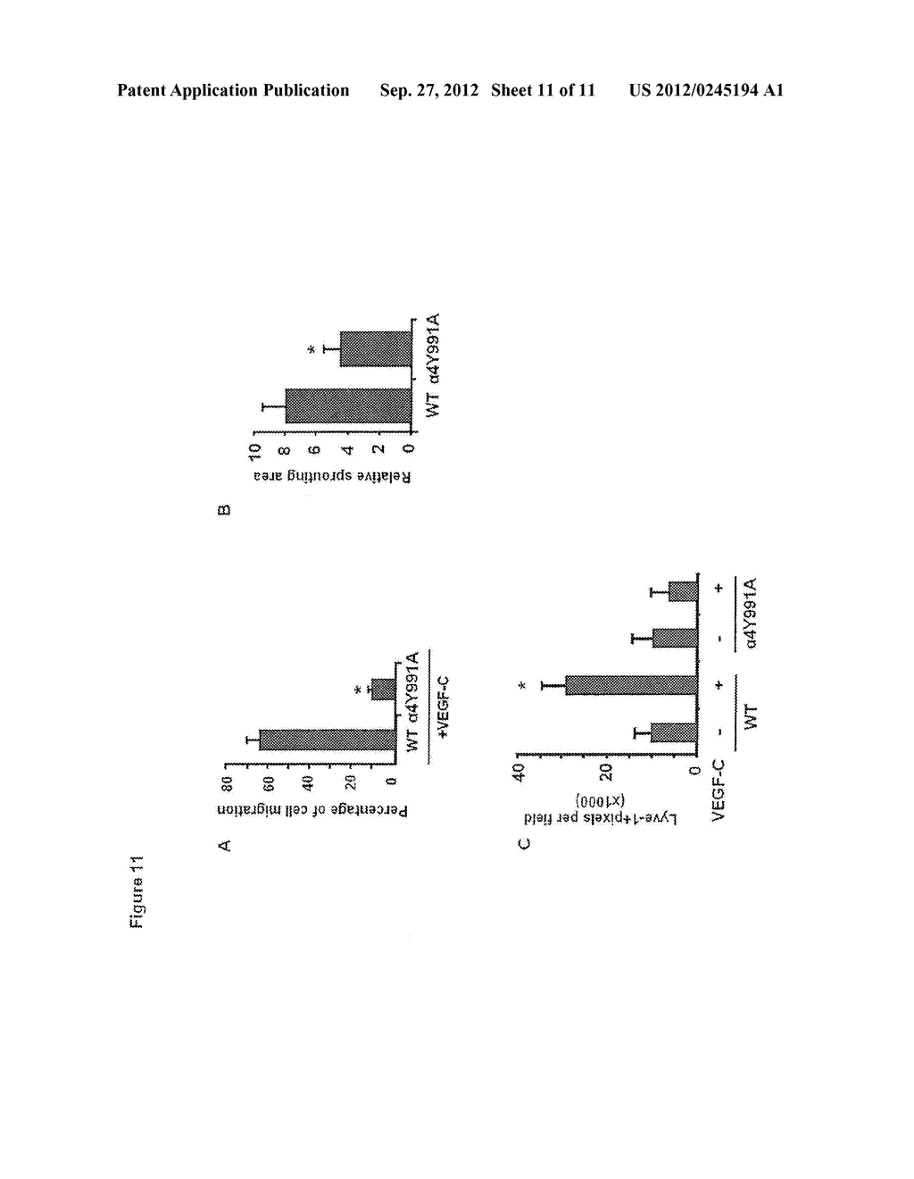 SMALL MOLECULE INHIBITORS OF THE ALPHA4-PAXILLIN INTERACTION - diagram, schematic, and image 12