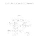 HUMAN TYPE I TASTE RECEPTOR SUBUNIT 3 MODULATORS AND METHODS OF USING SAME diagram and image