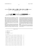 HUMAN TYPE I TASTE RECEPTOR SUBUNIT 3 MODULATORS AND METHODS OF USING SAME diagram and image