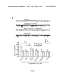 METHOD FOR TREATING NEUROPATHIC PAIN diagram and image