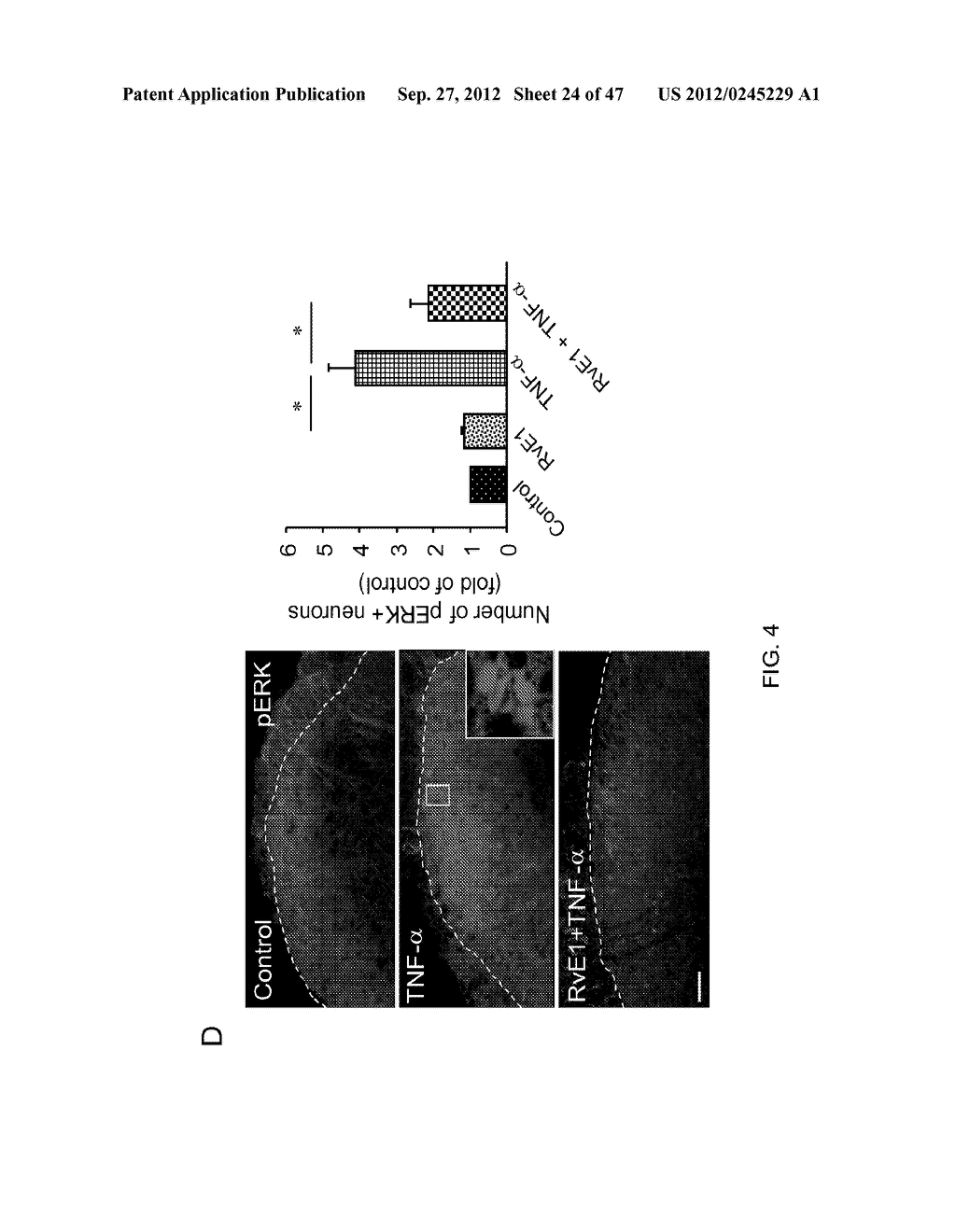 METHOD FOR TREATING NEUROPATHIC PAIN - diagram, schematic, and image 25