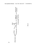 METHOD FOR TREATING NEUROPATHIC PAIN diagram and image