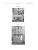 Photoperoxidized Compositions and Methods of Making and Using Same diagram and image