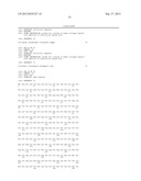 TRANSFORMANT WHICH PRODUCES COLLAGEN WHEREIN BOTH LYSINE RESIDUE AND     PROLINE RESIDUE ARE HYDROXYLATED diagram and image