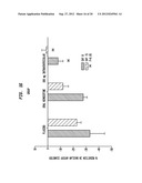 INTRAVENTRICULAR DRUG DELIVERY SYSTEM FOR IMPROVING OUTCOME AFTER A BRAIN     INJURY AFFECTING CEREBRAL BLOOD FLOW diagram and image