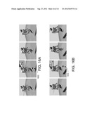 HUMANOID ROBOT PUSH RECOVERY ON LEVEL AND NON-LEVEL GROUND diagram and image