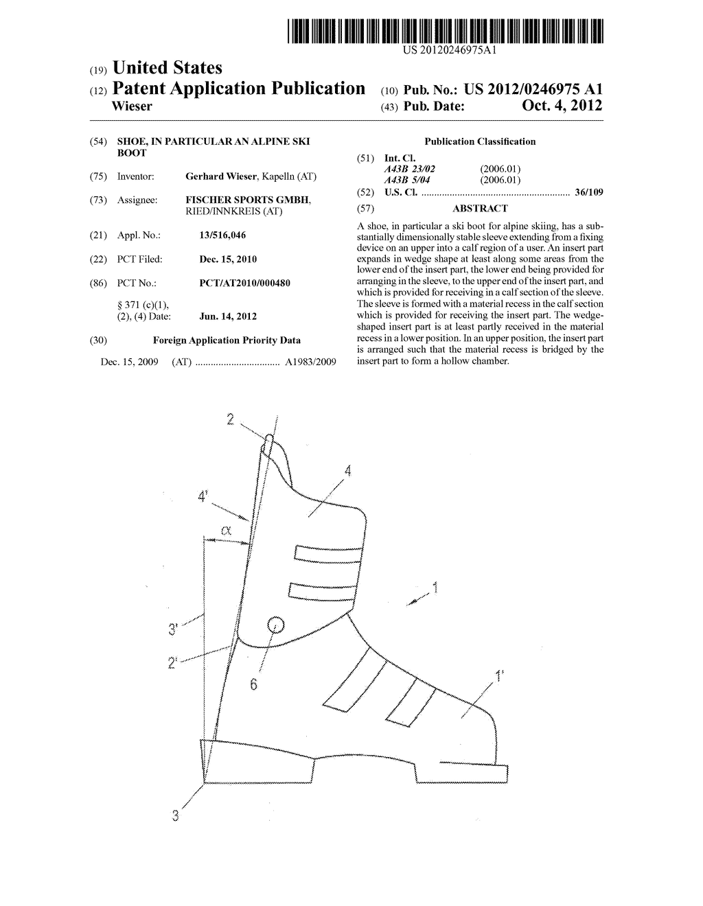 SHOE, IN PARTICULAR AN ALPINE SKI BOOT - diagram, schematic, and image 01