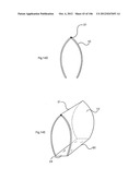 STRUCTURAL ASSEMBLY WITH A TIED, FLEXURALLY DEFORMED PANEL diagram and image