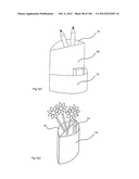 STRUCTURAL ASSEMBLY WITH A TIED, FLEXURALLY DEFORMED PANEL diagram and image