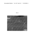 3-DIMENSIONAL GRAPHENE STRUCTURE AND PROCESS FOR PREPARING AND     TRANSFERRING THE SAME diagram and image