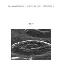 3-DIMENSIONAL GRAPHENE STRUCTURE AND PROCESS FOR PREPARING AND     TRANSFERRING THE SAME diagram and image