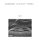 3-DIMENSIONAL GRAPHENE STRUCTURE AND PROCESS FOR PREPARING AND     TRANSFERRING THE SAME diagram and image