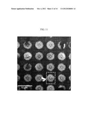 3-DIMENSIONAL GRAPHENE STRUCTURE AND PROCESS FOR PREPARING AND     TRANSFERRING THE SAME diagram and image