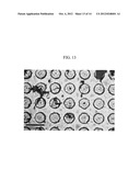 3-DIMENSIONAL GRAPHENE STRUCTURE AND PROCESS FOR PREPARING AND     TRANSFERRING THE SAME diagram and image