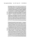 RECORDING POSITION ERROR MEASUREMENT APPARATUS AND METHOD, IMAGE FORMING     APPARATUS AND METHOD, AND COMPUTER-READABLE MEDIUM diagram and image