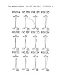 Zoom Lens and Image Pickup Apparatus Using the Same diagram and image