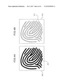 CAPACITIVE SENSOR AND BIOMETRIC IMAGE GENERATING METHOD diagram and image