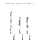 OPTICAL WAVEGUIDE DEVICE AND MODULE diagram and image