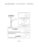 Methods and Compositions Related to Annexin 1-Binding Compounds diagram and image