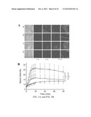 Methods and Compositions Related to Annexin 1-Binding Compounds diagram and image