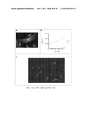 Methods and Compositions Related to Annexin 1-Binding Compounds diagram and image