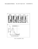 Methods and Compositions Related to Annexin 1-Binding Compounds diagram and image