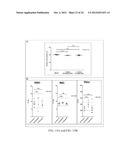 Methods and Compositions Related to Annexin 1-Binding Compounds diagram and image