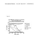 Human Anti-IL-23 Antibodies, Compositions, Methods and Uses diagram and image