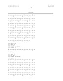 Human Anti-IL-23 Antibodies, Compositions, Methods and Uses diagram and image