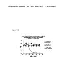 Human Anti-IL-23 Antibodies, Compositions, Methods and Uses diagram and image