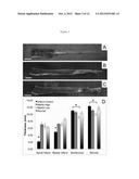 Infarction Treatment Compositions and Methods diagram and image