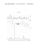 Infarction Treatment Compositions and Methods diagram and image