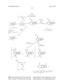 INHIBITORS OF HEPATITIS C VIRUS diagram and image