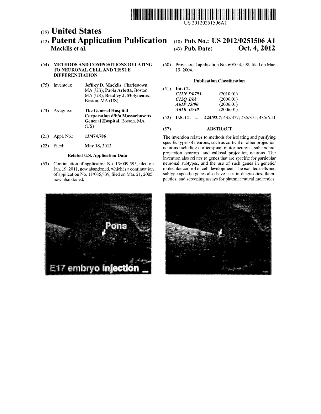 METHODS AND COMPOSITIONS RELATING TO NEURONAL CELL AND TISSUE     DIFFERENTIATION - diagram, schematic, and image 01