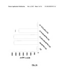 Antigen Specific Tolerogenic Antigen Presenting Cells and Related Uses     Compositions, Methods and Systems diagram and image