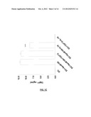 Antigen Specific Tolerogenic Antigen Presenting Cells and Related Uses     Compositions, Methods and Systems diagram and image