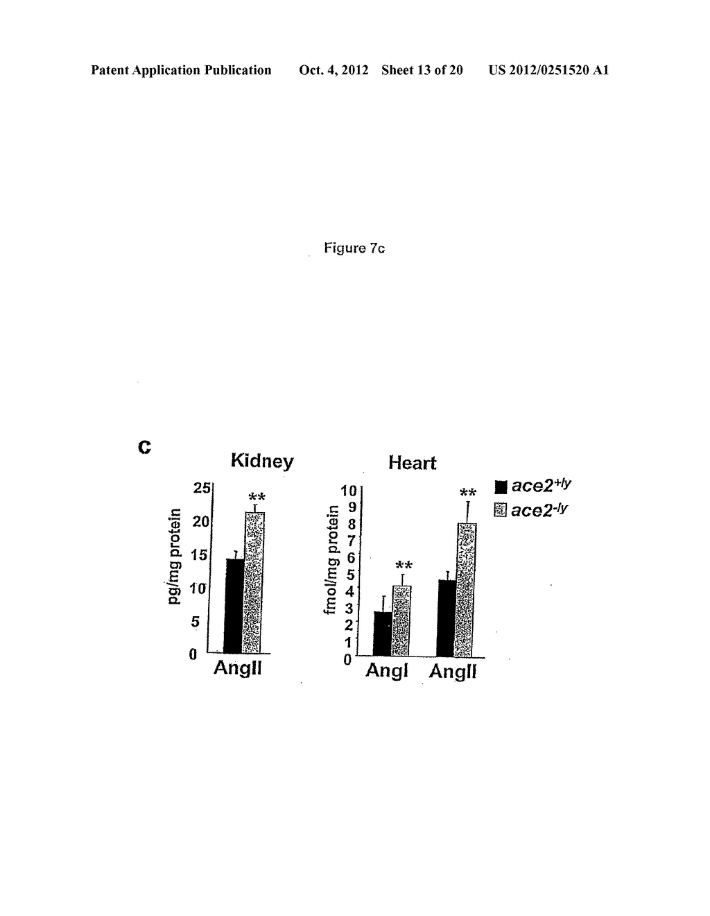 ACE2 ACTIVATION FOR TREATMENT OF HEART, LUNG AND KIDNEY DISEASE AND     HYPERTENSION - diagram, schematic, and image 14