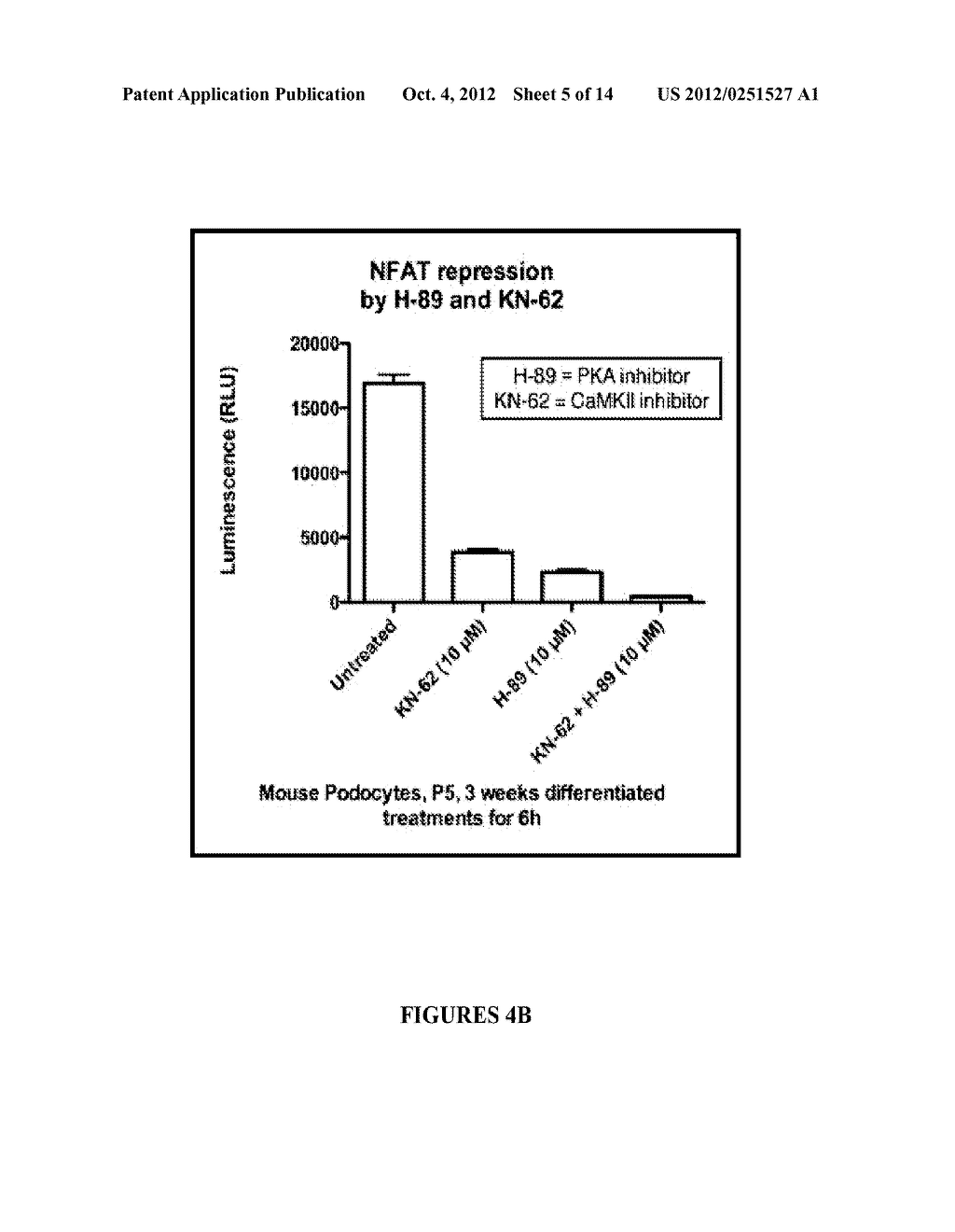 PODOCYTE SPECIFIC ASSAYS AND USES THEREOF - diagram, schematic, and image 06