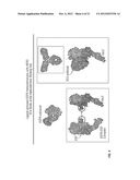 COMBINATION THERAPY OF HER EXPRESSING TUMORS diagram and image