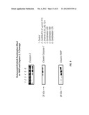 COMBINATION THERAPY OF HER EXPRESSING TUMORS diagram and image