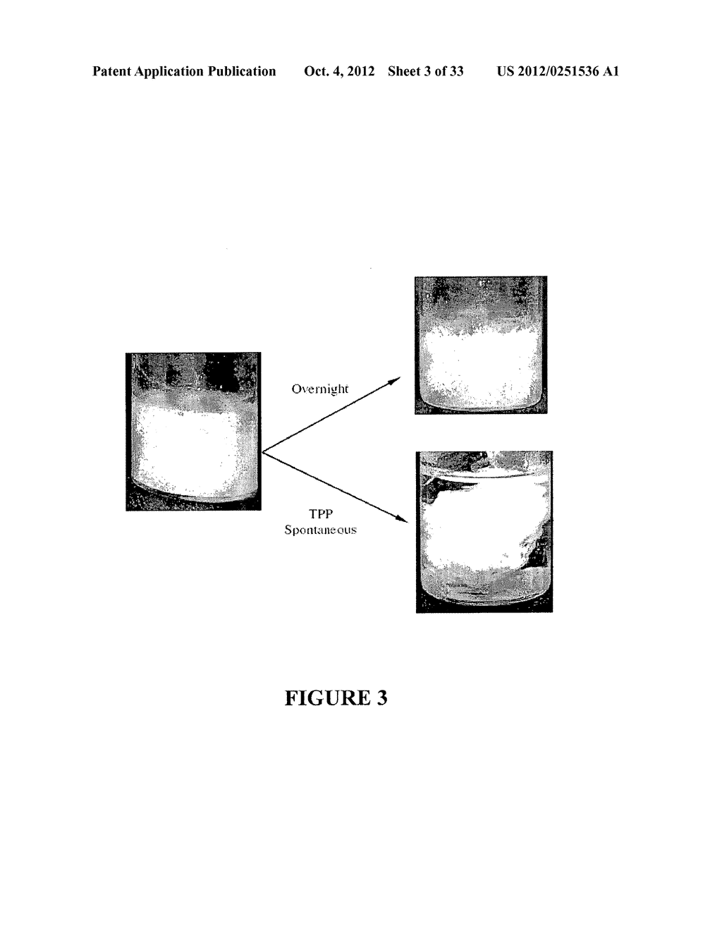 BIOPOLYMER HYBRID GEL-DEPOT DELIVERY SYSTEM - diagram, schematic, and image 04