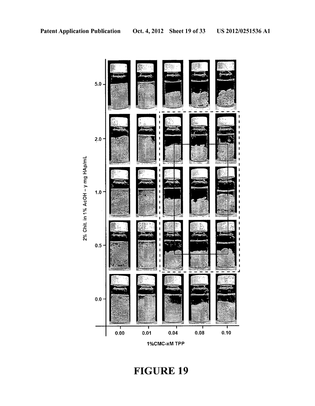 BIOPOLYMER HYBRID GEL-DEPOT DELIVERY SYSTEM - diagram, schematic, and image 20