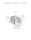 Dual Variable Region Antibody-Like Binding Proteins Having Cross-Over     Binding Region Orientation diagram and image