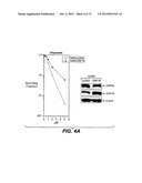 METHODS AND COMPOSITIONS FOR MODULATING APOPTOSIS diagram and image