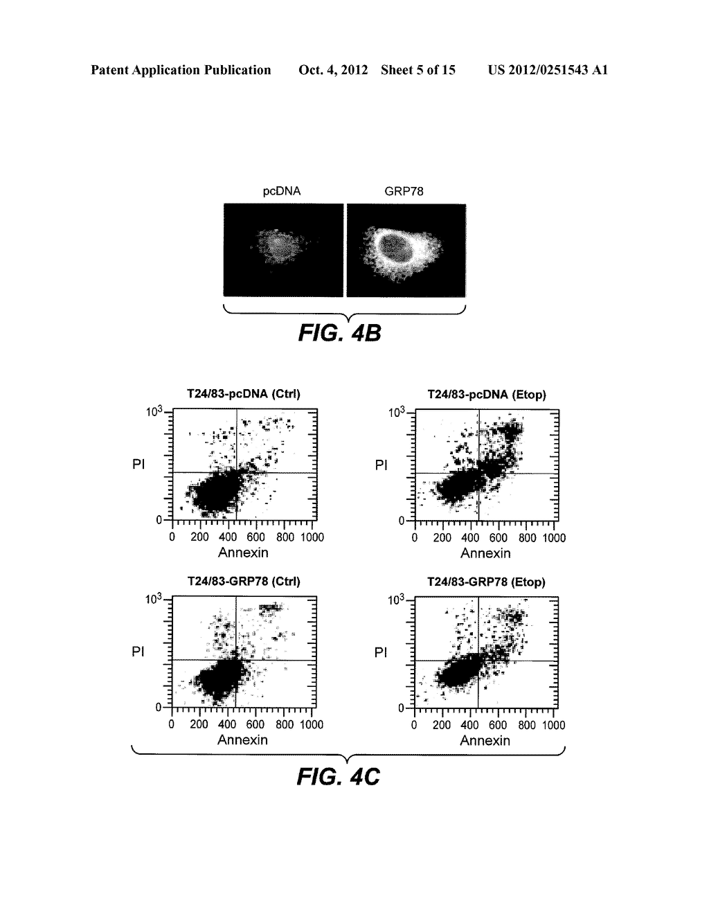 METHODS AND COMPOSITIONS FOR MODULATING APOPTOSIS - diagram, schematic, and image 06