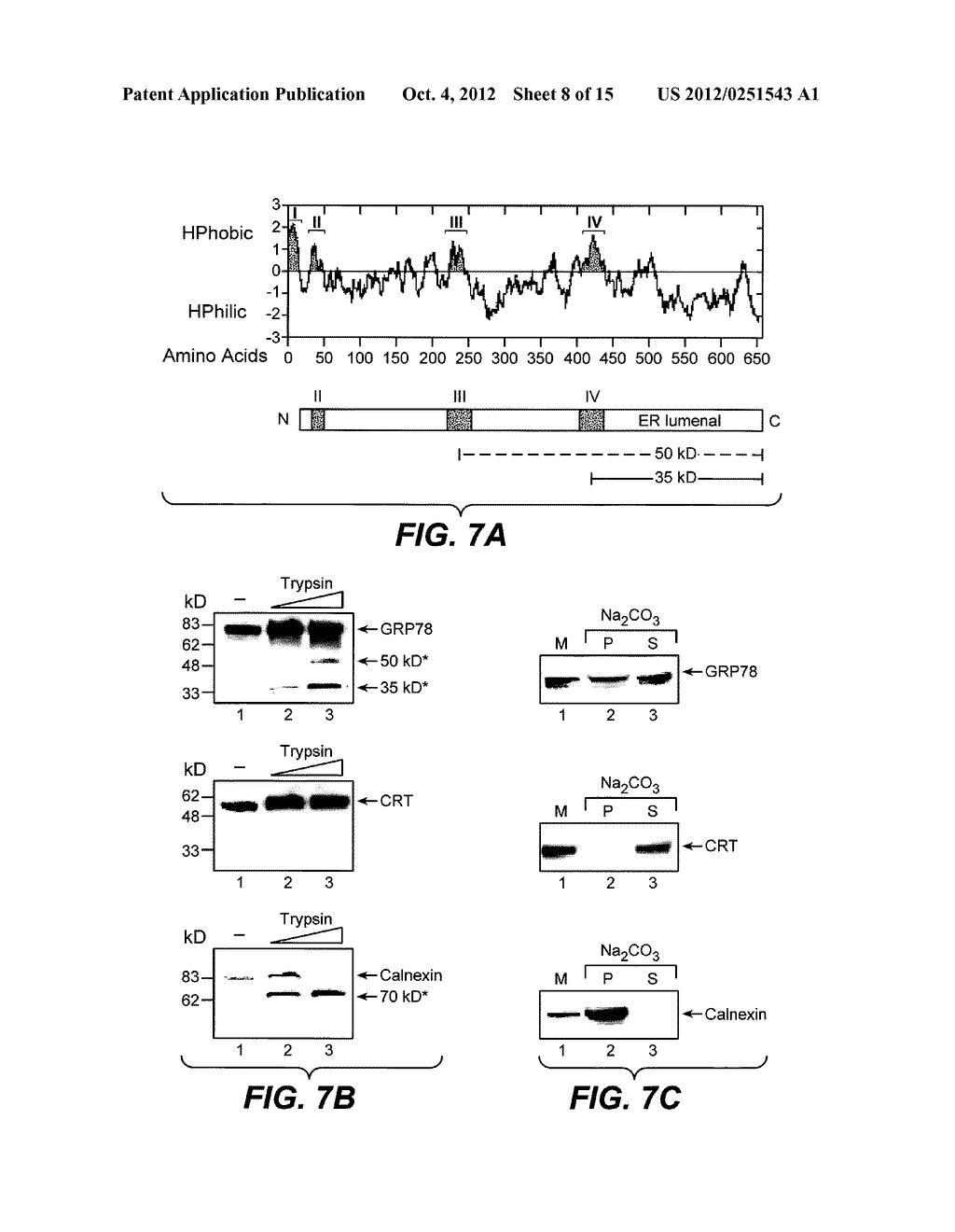 METHODS AND COMPOSITIONS FOR MODULATING APOPTOSIS - diagram, schematic, and image 09
