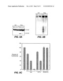 METHODS AND COMPOSITIONS FOR MODULATING APOPTOSIS diagram and image