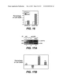 METHODS AND COMPOSITIONS FOR MODULATING APOPTOSIS diagram and image