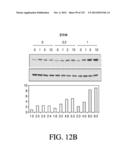 ANTIGEN BINDING PROTEINS TO PROPROTEIN CONVERTASE SUBTILISIN KEXIN TYPE 9     (PCSK9) diagram and image